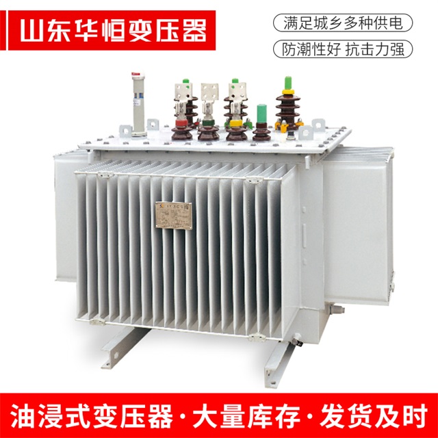 S13-10000/35农安农安农安电力变压器